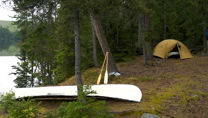 Moss covered canoe landing