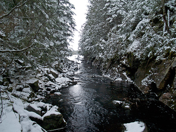 Stacks Image 675563