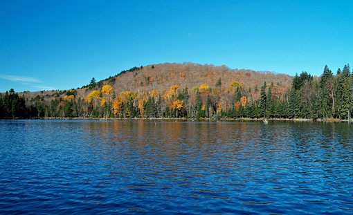 past peak colours