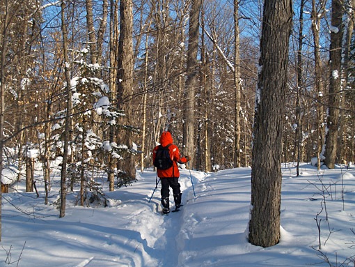 snowshoeing