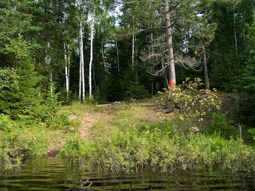 Campsite on Robitaille Lake