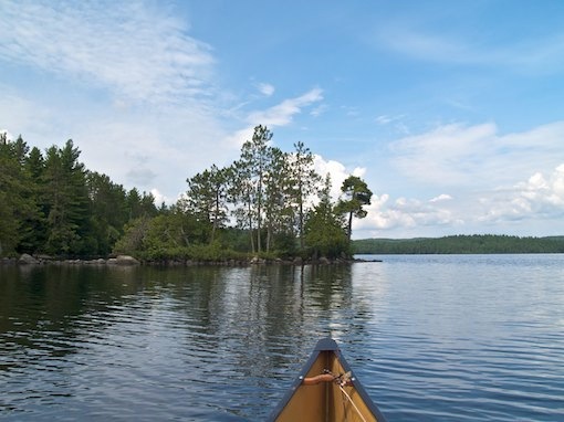 Wilkins Lake